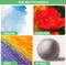 Stretched Canvas, 6x8, 8x10, 10x12, 12x16, 8 Set Artist Canvase Frame Board Panels, 100% Cotton Blank Canvase Oil Acrylic Watercolor Pouring Paint, Acid-Free for Kids & Artists
